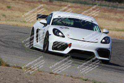 media/May-03-2024-PCA Central Coast (Fri) [[eaa7da0ee1]]/Red Group/Session 1 (Grapevine)/